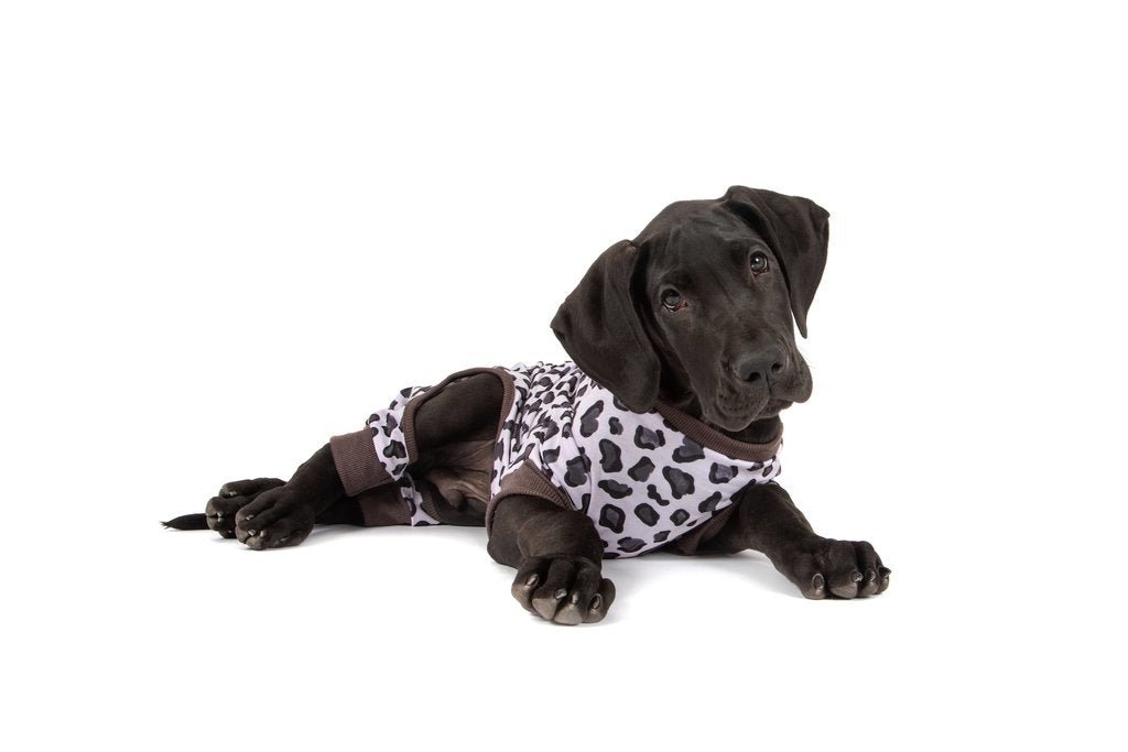 Big and Little Dogs Onesie Pyjama Leopard Hondenkleding > Hondenpyjama X - Small