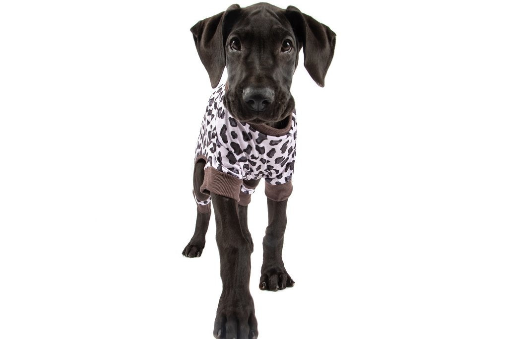 Big and Little Dogs Onesie Pyjama Leopard - Premium Hondenkleding > Hondenpyjama from Big and Little Dogs - Just €20! Shop now at Frenkiezdogshop