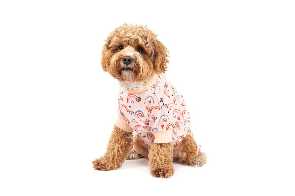 Big and Little Dogs Onesie Pyjama Rainbow Dreams - Premium Hondenkleding > Hondenpyjama from Big and Little Dogs - Just €20! Shop now at Frenkiezdogshop