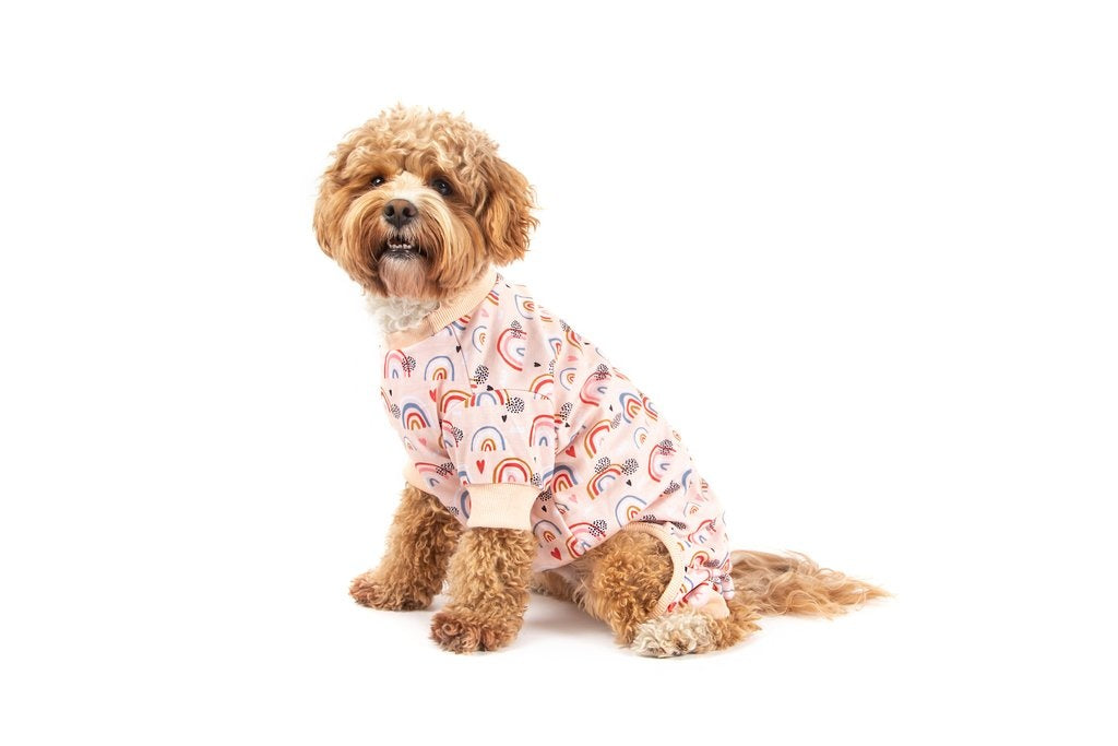 Big and Little Dogs Onesie Pyjama Rainbow Dreams Hondenkleding > Hondenpyjama Large