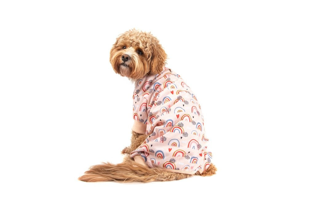 Big and Little Dogs Onesie Pyjama Rainbow Dreams Hondenkleding > Hondenpyjama Large