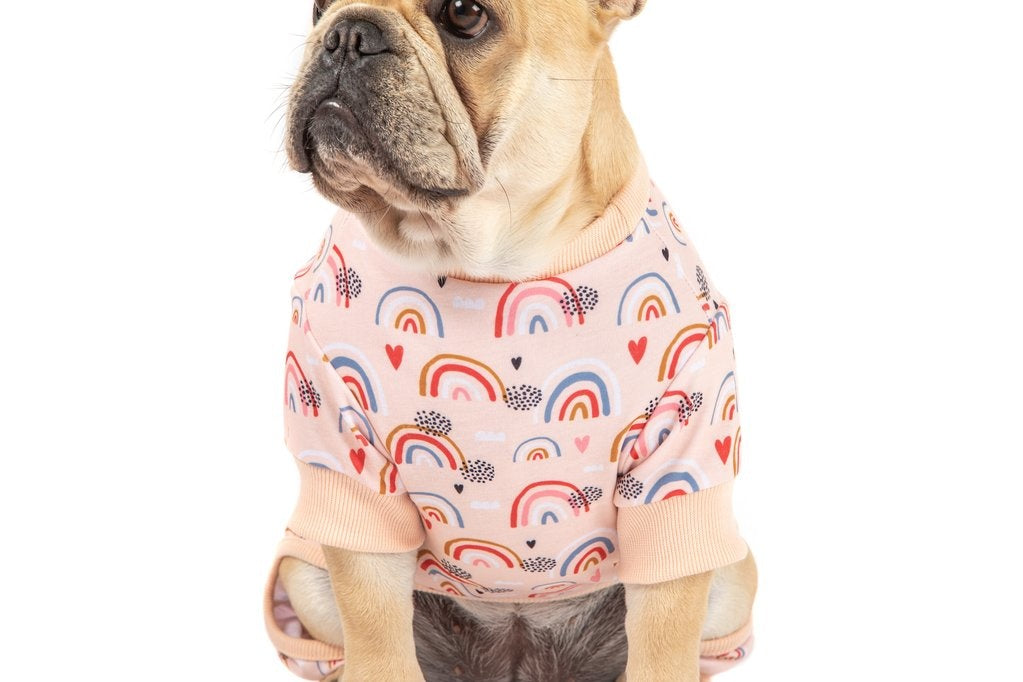 Big and Little Dogs Onesie Pyjama Rainbow Dreams Hondenkleding > Hondenpyjama Large