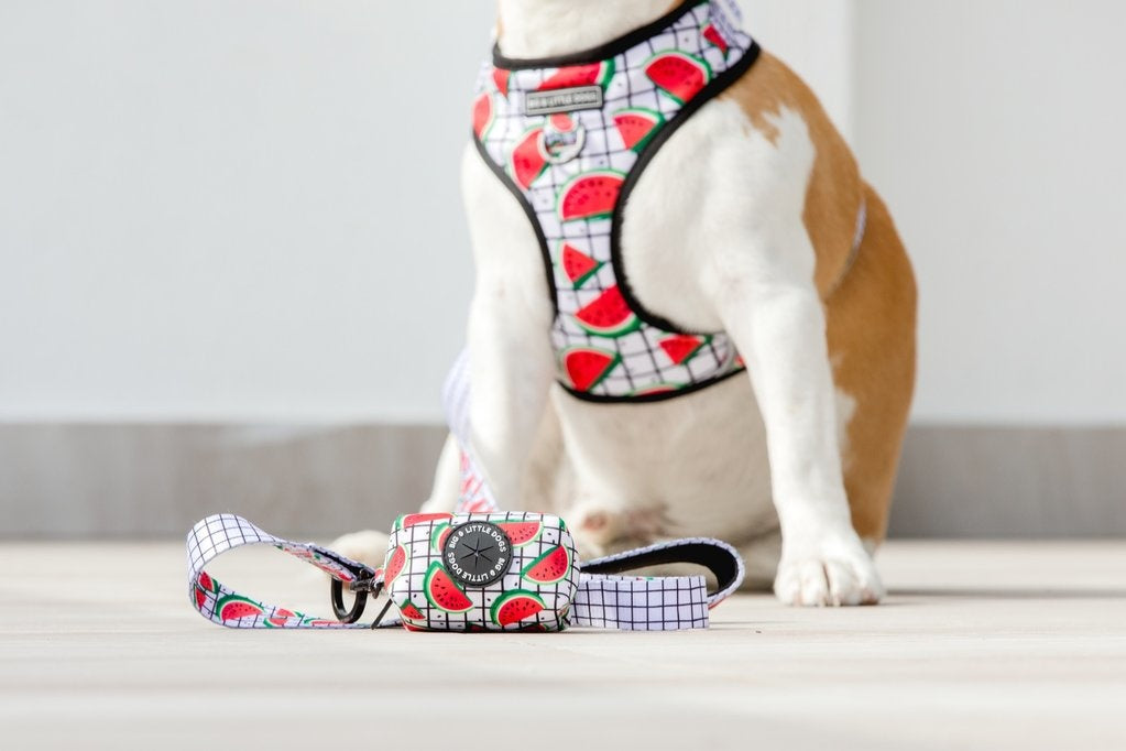 Big and Little Dogs A Slice of Summer poepzakjeshouder - Premium Poepzakjeshouder > Houder from Big and Little Dogs - Just €10! Shop now at Frenkiezdogshop