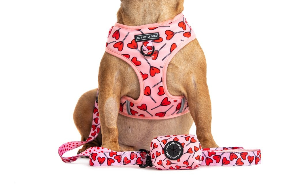 Big and Little Dogs Lijn Sucker For Love - Premium hondenriem > hondenlijn from Big and Little Dogs - Just €10! Shop now at Frenkiezdogshop