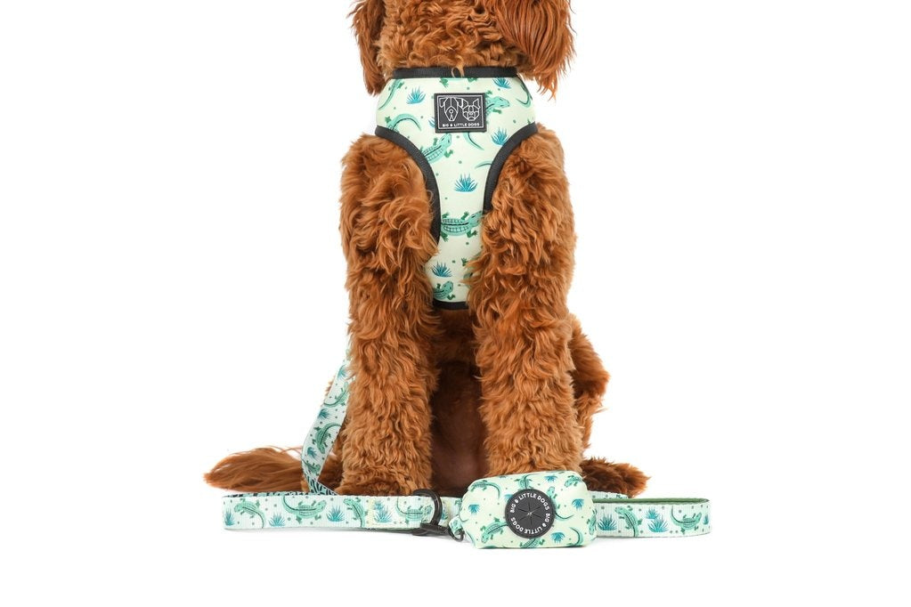 Big and Little Dogs Crikey Croc poepzakjeshouder - Premium Poepzakjeshouder > Houder from Big and Little Dogs - Just €10! Shop now at Frenkiezdogshop