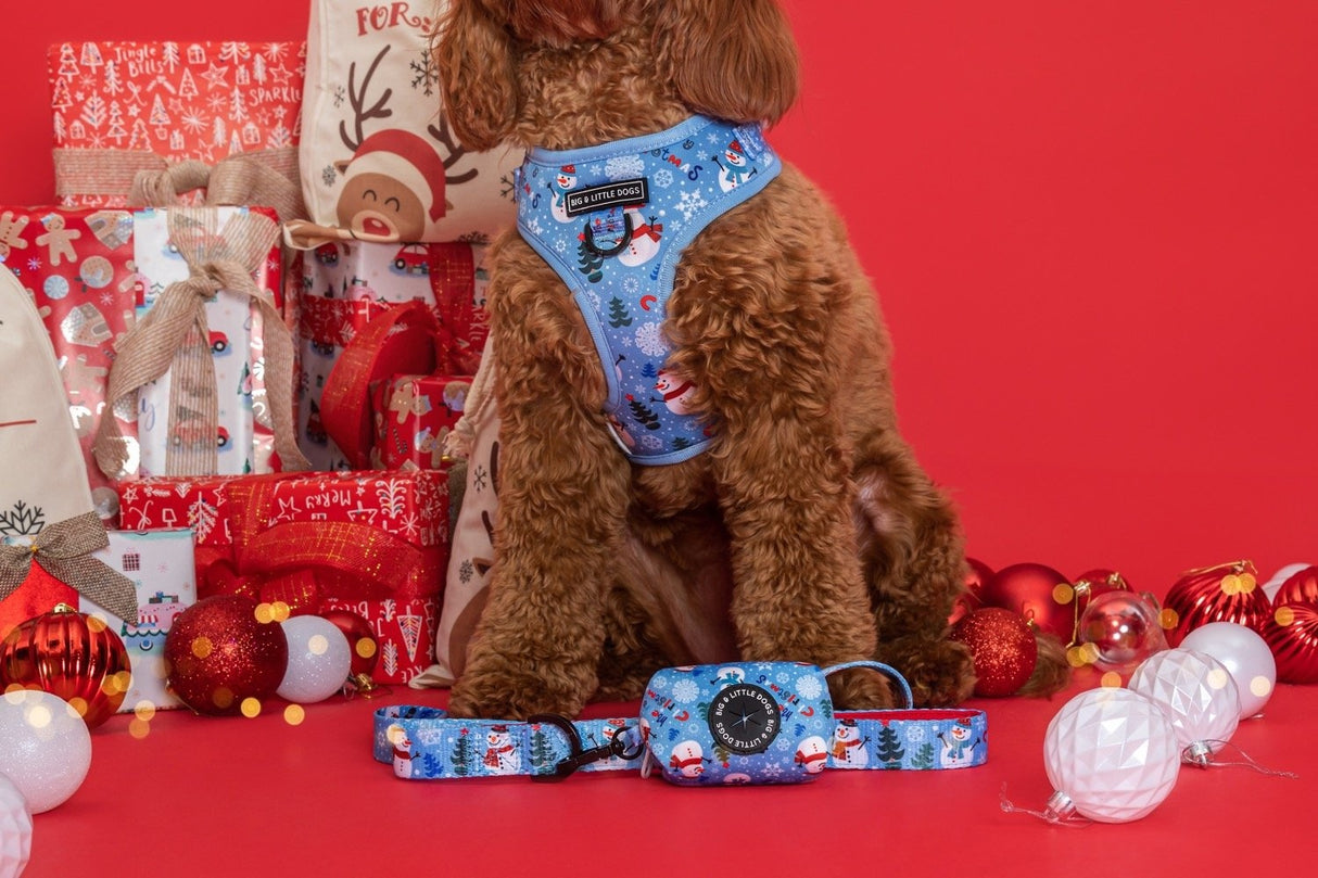 Big and Little Dogs poepzakjeshouder Let It Snow - Premium Poepzakjeshouder > Poepzakhouder from Big and Little Dogs - Just €10! Shop now at Frenkiezdogshop