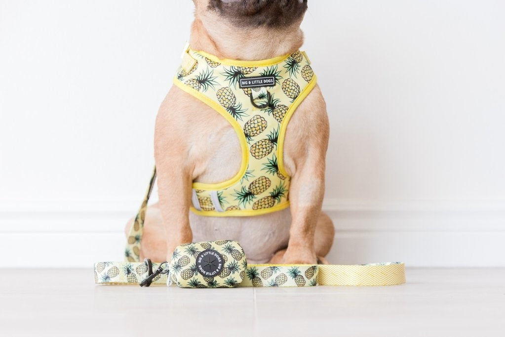 Big and Little Dogs Lookin' Pine poepzakjeshouder - Premium Poepzakjeshouder > Poepzakhouder from Big and Little Dogs - Just €10! Shop now at Frenkiezdogshop