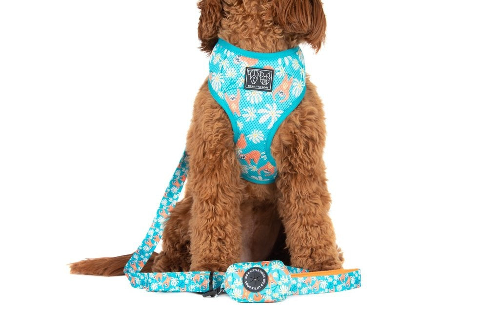 Big and Little Dogs Slothin' Around poepzakjeshouder - Premium Poepzakjeshouder > Poepzakhouder from Big and Little Dogs - Just €10! Shop now at Frenkiezdogshop