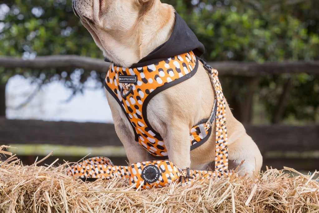 Big and Little Dogs Spicy Mustard poepzakjeshouder - Premium Poepzakjeshouder > Poepzakhouder from Big and Little Dogs - Just €10! Shop now at Frenkiezdogshop