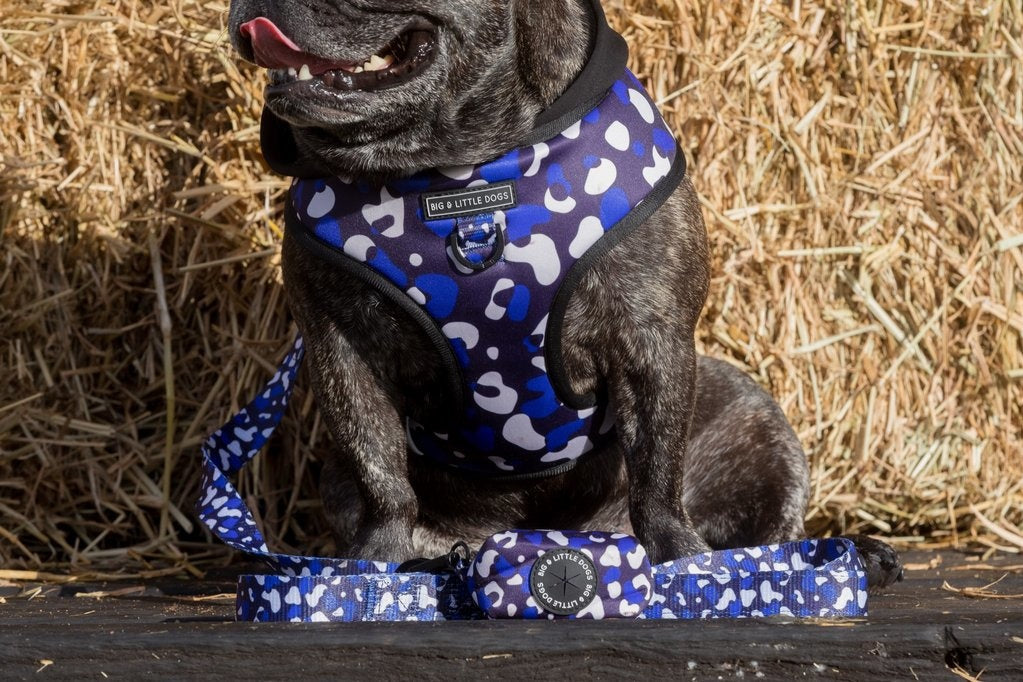 Big and Little Dogs Winter Blues poepzakjeshouder - Premium Poepzakjeshouder > Poepzakhouder from Big and Little Dogs - Just €10! Shop now at Frenkiezdogshop