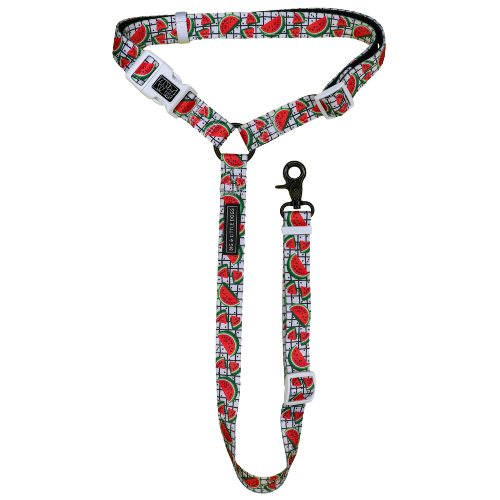 Big and Little Dogs premium autogordel A Slice of Summer - Premium Autogordel > Autoriem from Big and Little Dogs - Just €10! Shop now at Frenkiezdogshop