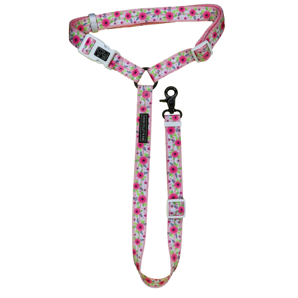 Big and Little Dogs premium autogordel Pretty as can Bee - Premium Autogordel > Autoriem from Big and Little Dogs - Just €10! Shop now at Frenkiezdogshop