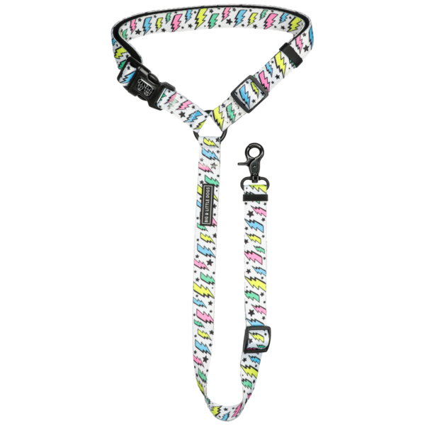 Big and Little Dogs premium autogordel The Bolt - Premium Autogordel > Autoriem from Big and Little Dogs - Just €10! Shop now at Frenkiezdogshop