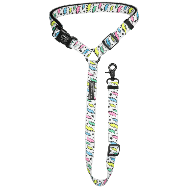 Big and Little Dogs premium autogordel The Bolt Autogordel > Autoriem Standaard/One Size