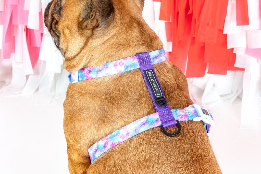 Big and Little Dogs Strap Harness Tie Dye For - Premium hondentuig > honden harnas from Big and Little Dogs - Just €10! Shop now at Frenkiezdogshop
