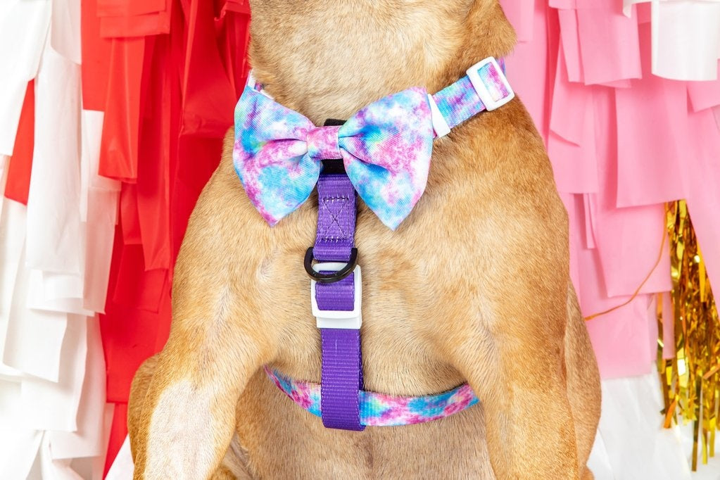 Big and Little Dogs Strap Harness Tie Dye For - Premium hondentuig > honden harnas from Big and Little Dogs - Just €10! Shop now at Frenkiezdogshop