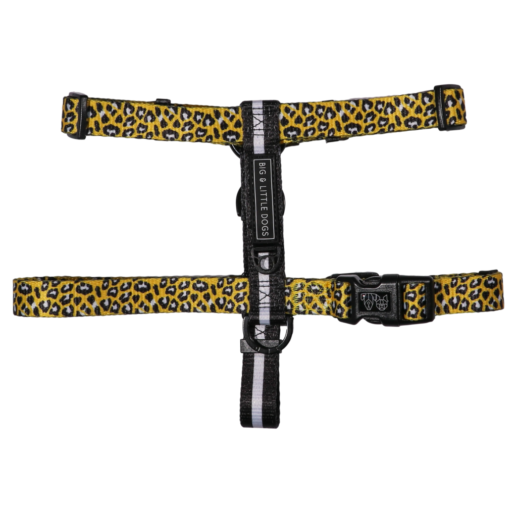 Big and Little Dogs Strap Harness Wild Thing - Premium hondentuig > honden harnas from Big and Little Dogs - Just €10! Shop now at Frenkiezdogshop