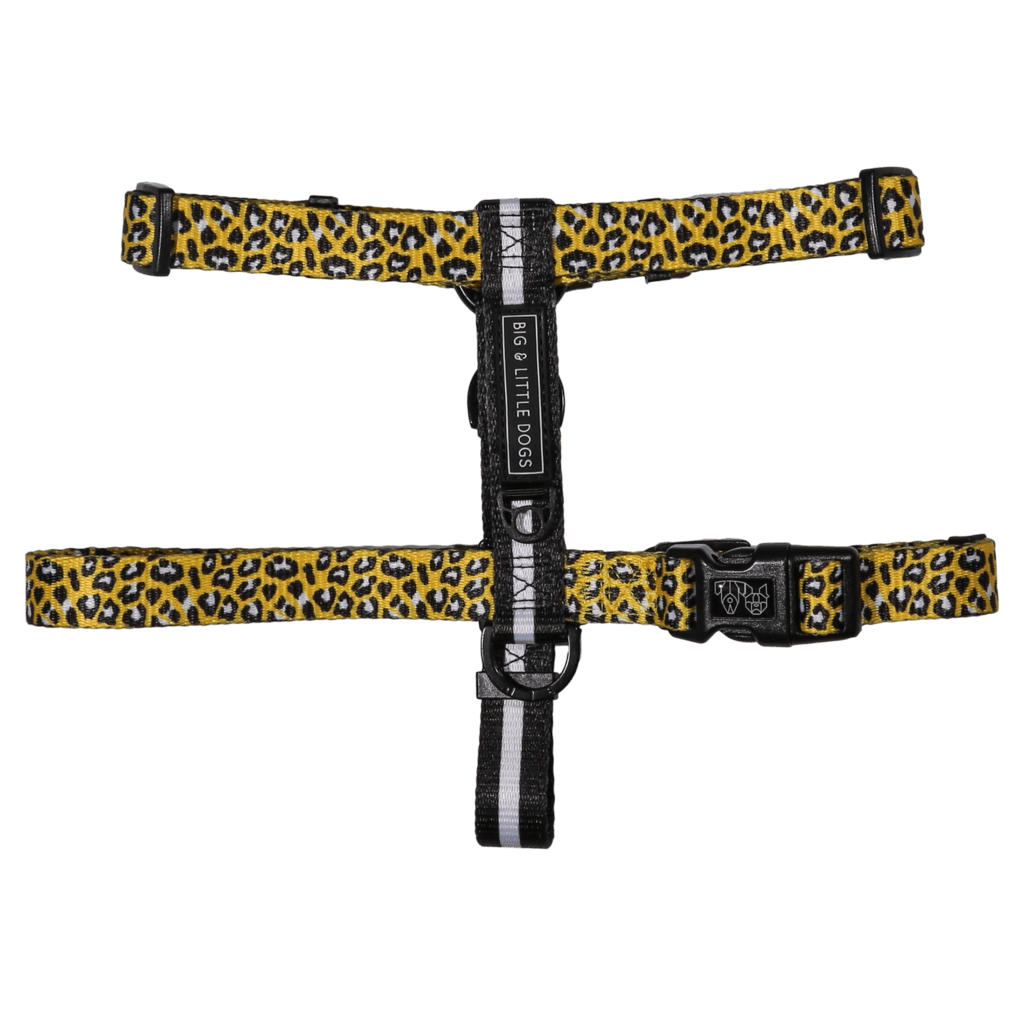 Big and Little Dogs Strap Harness Wild Thing hondentuig > honden harnas > overige modellen Small