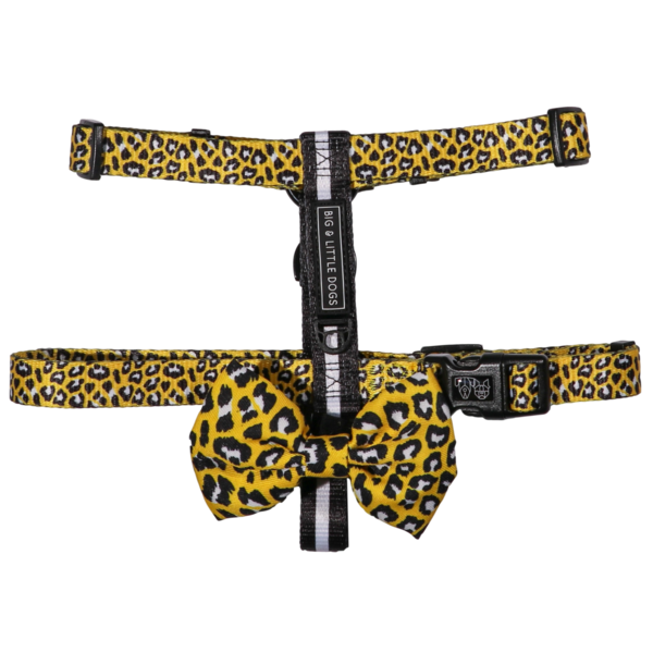 Big and Little Dogs Strap Harness Wild Thing - Premium hondentuig > honden harnas from Big and Little Dogs - Just €10! Shop now at Frenkiezdogshop
