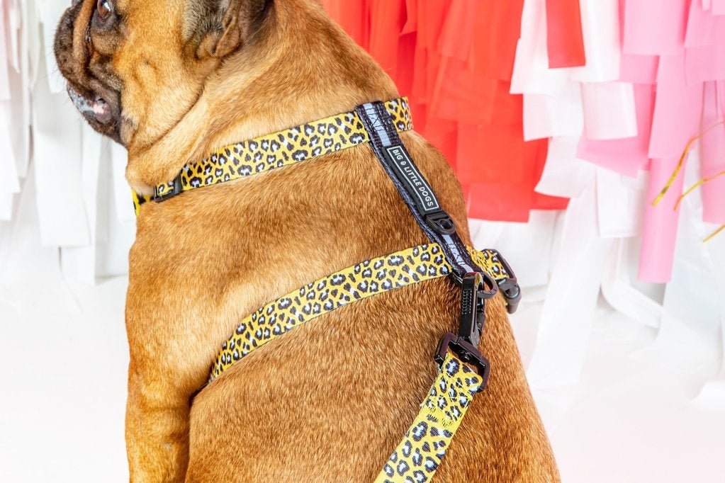 Big and Little Dogs Strap Harness Wild Thing hondentuig > honden harnas > overige modellen Small