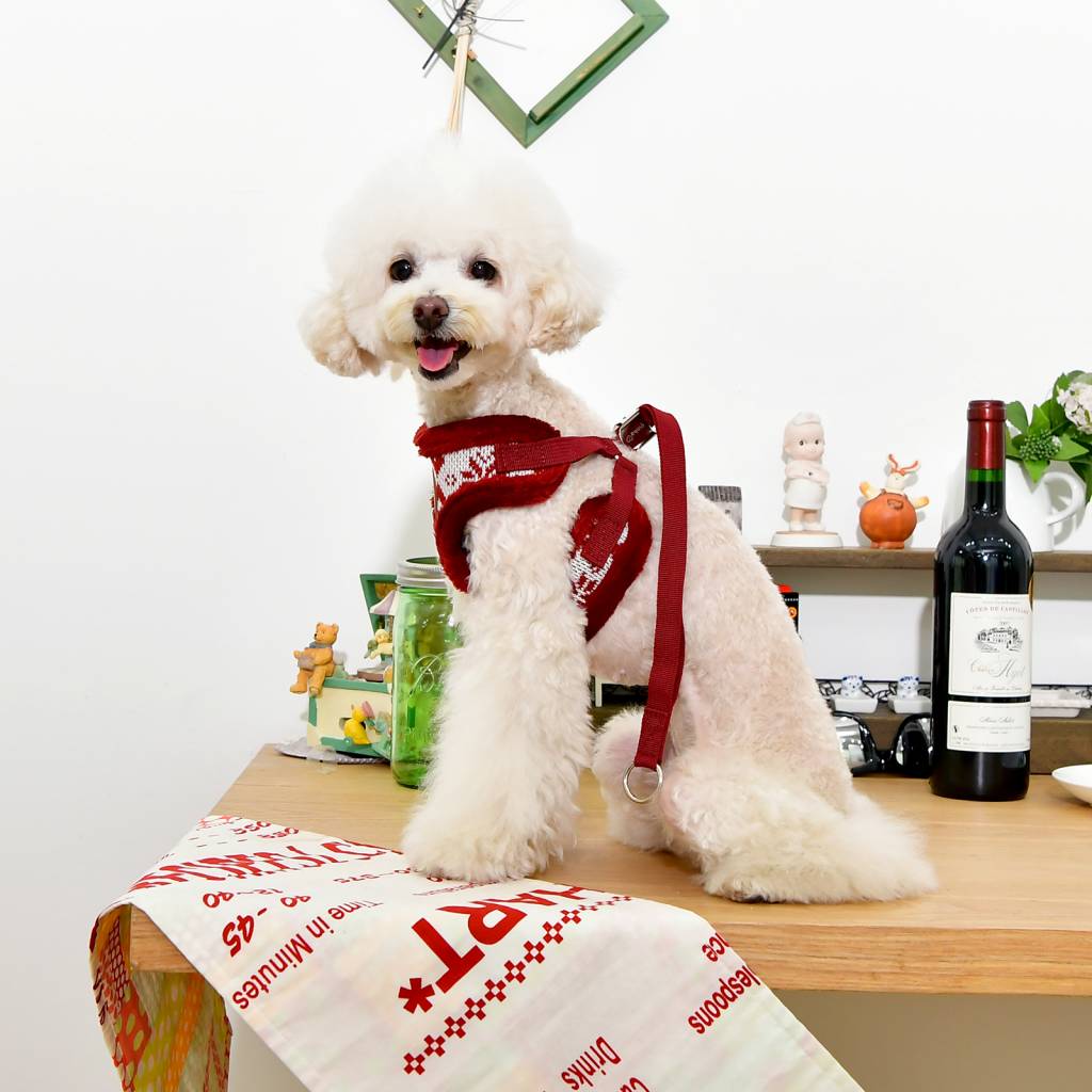 Pinkaholic Joy Harness wine model C hondentuig > honden harnas > model C Small