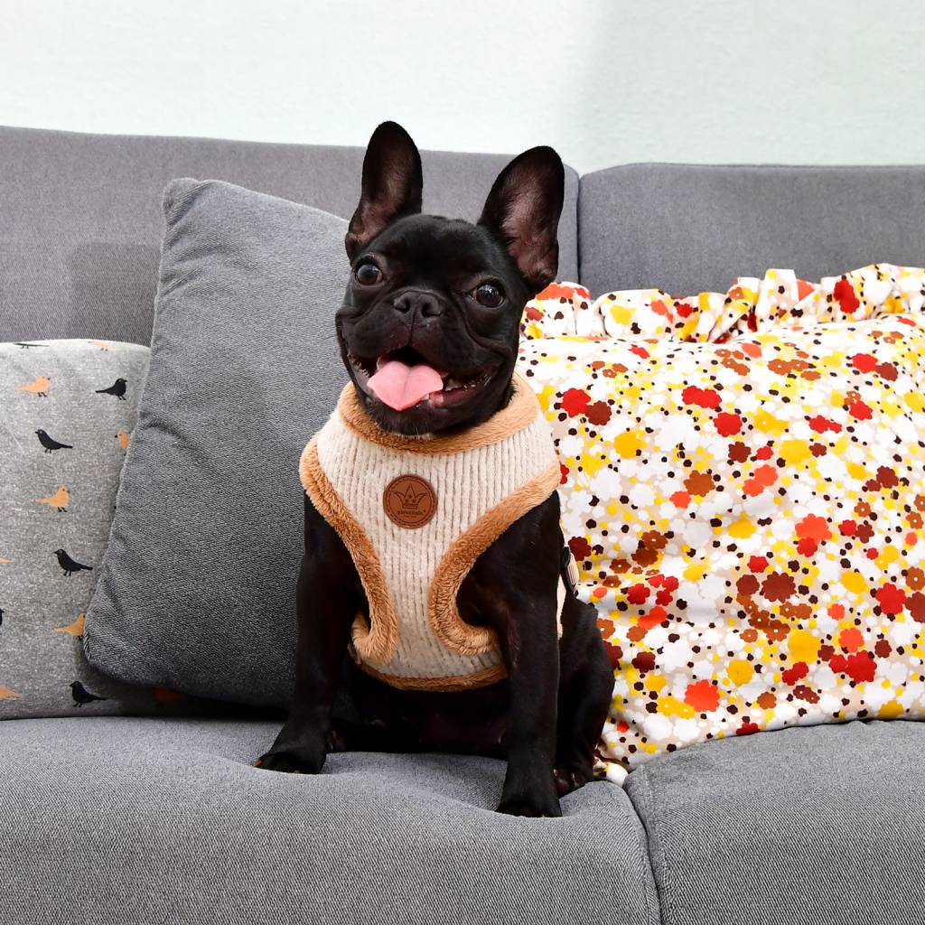 Pinkaholic Zuri Harness beige - Premium hondentuig > honden harnas from Pinkaholic - Just €20! Shop now at Frenkiezdogshop