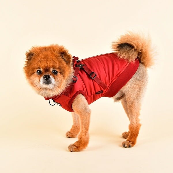 Puppia Frost Jacket Harness Wine Hondenkleding > hondenjas Small