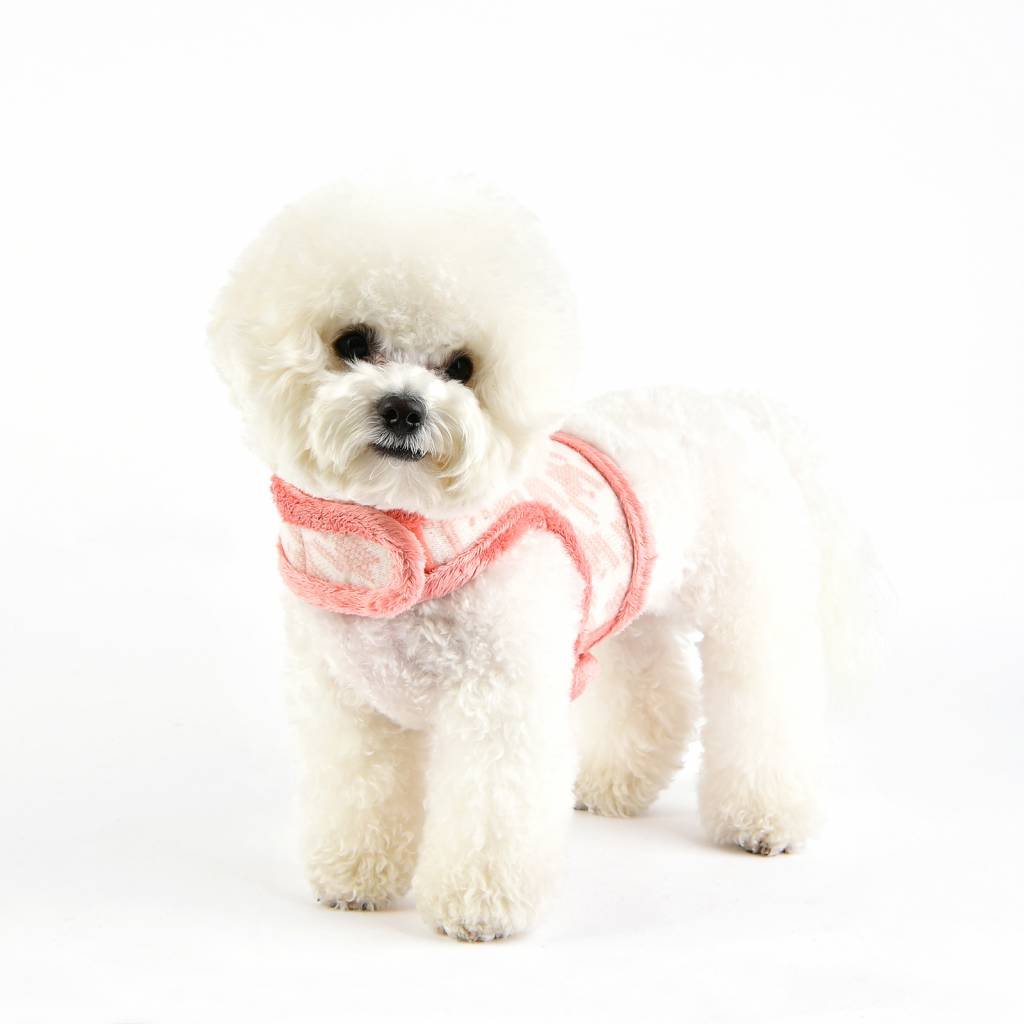 Pinkaholic Mirabelle Harness Pinka indian pink hondentuig > honden harnas > model B Small