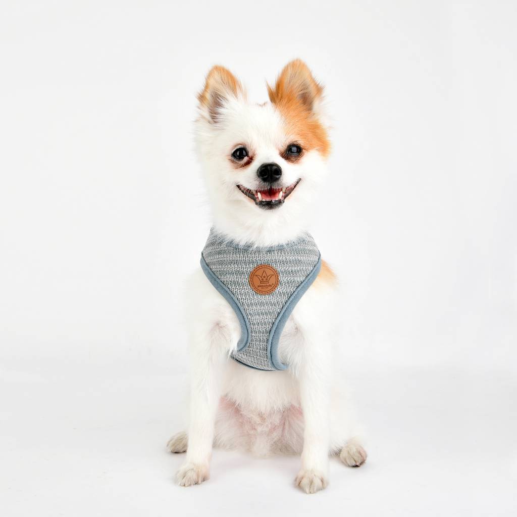 Pinkaholic Elicia Harness grey - Premium hondentuig > honden harnas from Pinkaholic - Just €22.99! Shop now at Frenkiezdogshop