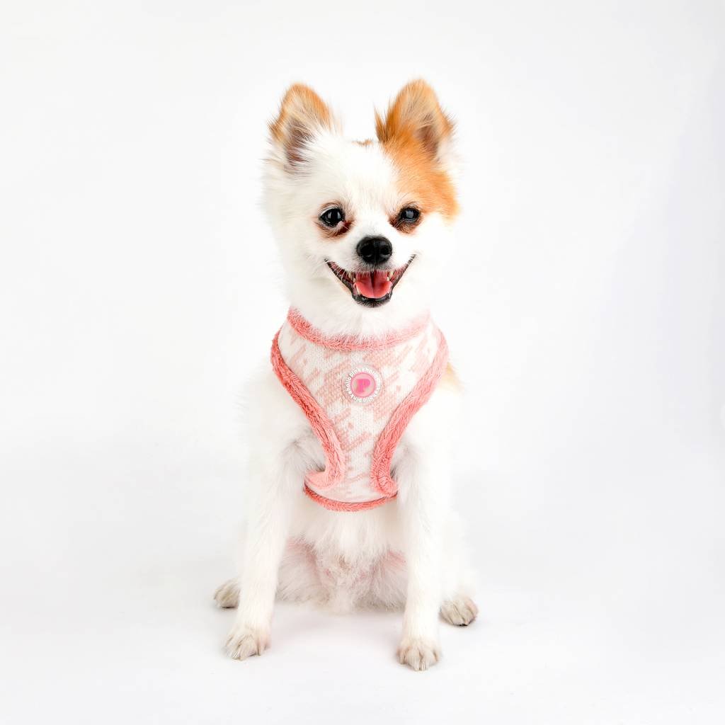 Pinkaholic Mirabelle Harness indian pink hondentuig > honden harnas > model A Small