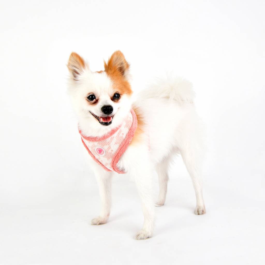 Pinkaholic Mirabelle Harness indian pink - Premium hondentuig > honden harnas from Pinkaholic - Just €20! Shop now at Frenkiezdogshop