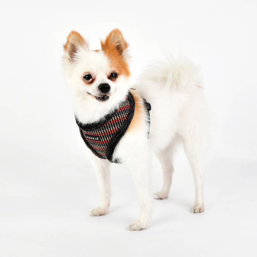 Puppia Elliot Harness model A grey ( ALLEEN XLARGE ) - Premium hondentuig > honden harnas from Puppia - Just €20! Shop now at Frenkiezdogshop