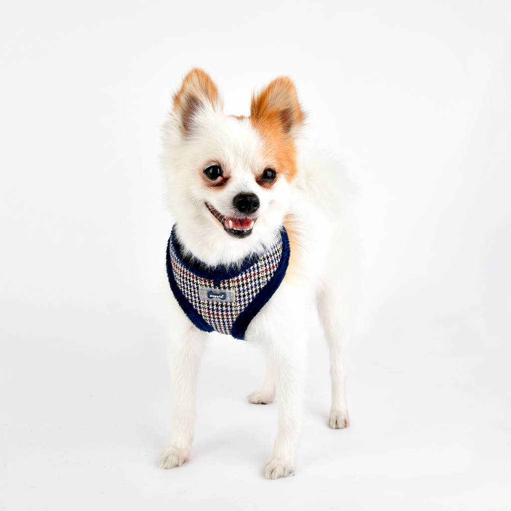 Puppia Auden Harness model A blue - Premium hondentuig > honden harnas from Puppia - Just €20! Shop now at Frenkiezdogshop