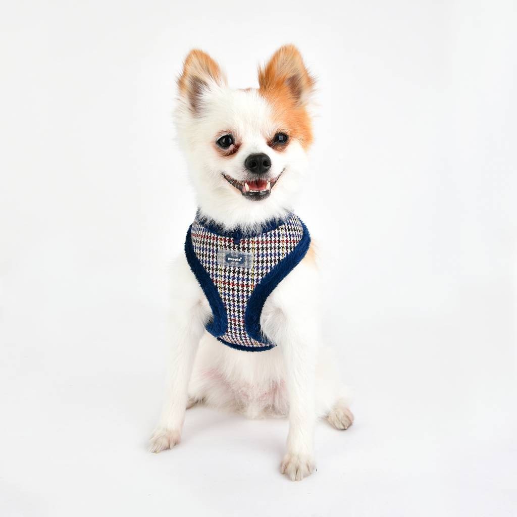 Puppia Auden Harness model A blue - Premium hondentuig > honden harnas from Puppia - Just €20! Shop now at Frenkiezdogshop