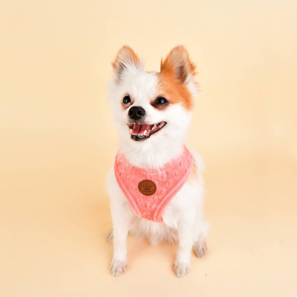 Pinkaholic Polina Harness hot pink hondentuig > honden harnas > model A Small