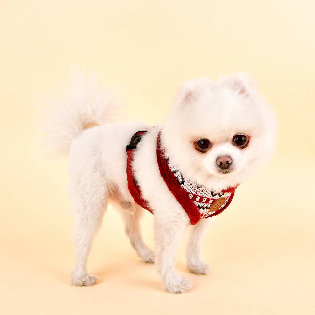 Pinkaholic Joy Harness wine ( small ) - Premium hondentuig > honden harnas from Pinkaholic - Just €20! Shop now at Frenkiezdogshop