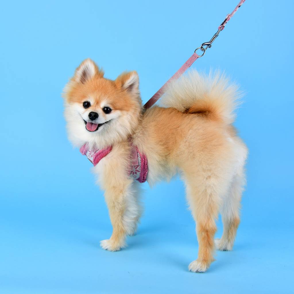 Pinkaholic Joy Harness indian pink model C hondentuig > honden harnas > model C Small