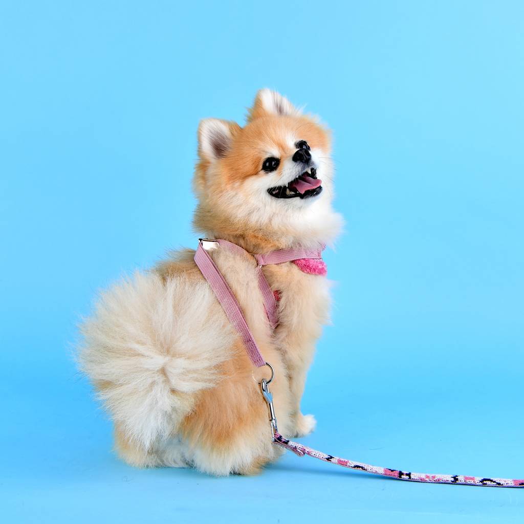 Pinkaholic Joy Harness indian pink model C - Premium hondentuig > honden harnas from Pinkaholic - Just €20! Shop now at Frenkiezdogshop