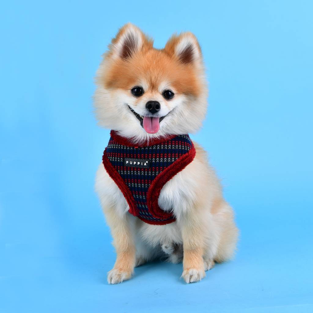 Puppia Elliot Harness model A wine - Premium hondentuig > honden harnas from Puppia - Just €20! Shop now at Frenkiezdogshop