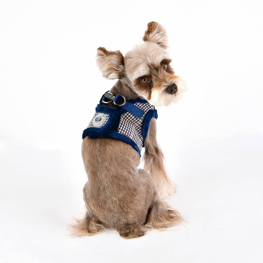 Puppia Auden Harness model B blue - Premium hondentuig > honden harnas from Puppia - Just €20! Shop now at Frenkiezdogshop