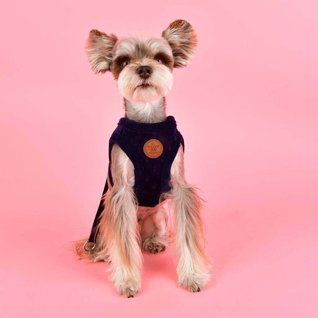 Pinkaholic Polina Harness Q navy hondentuig > honden harnas > overige modellen Small