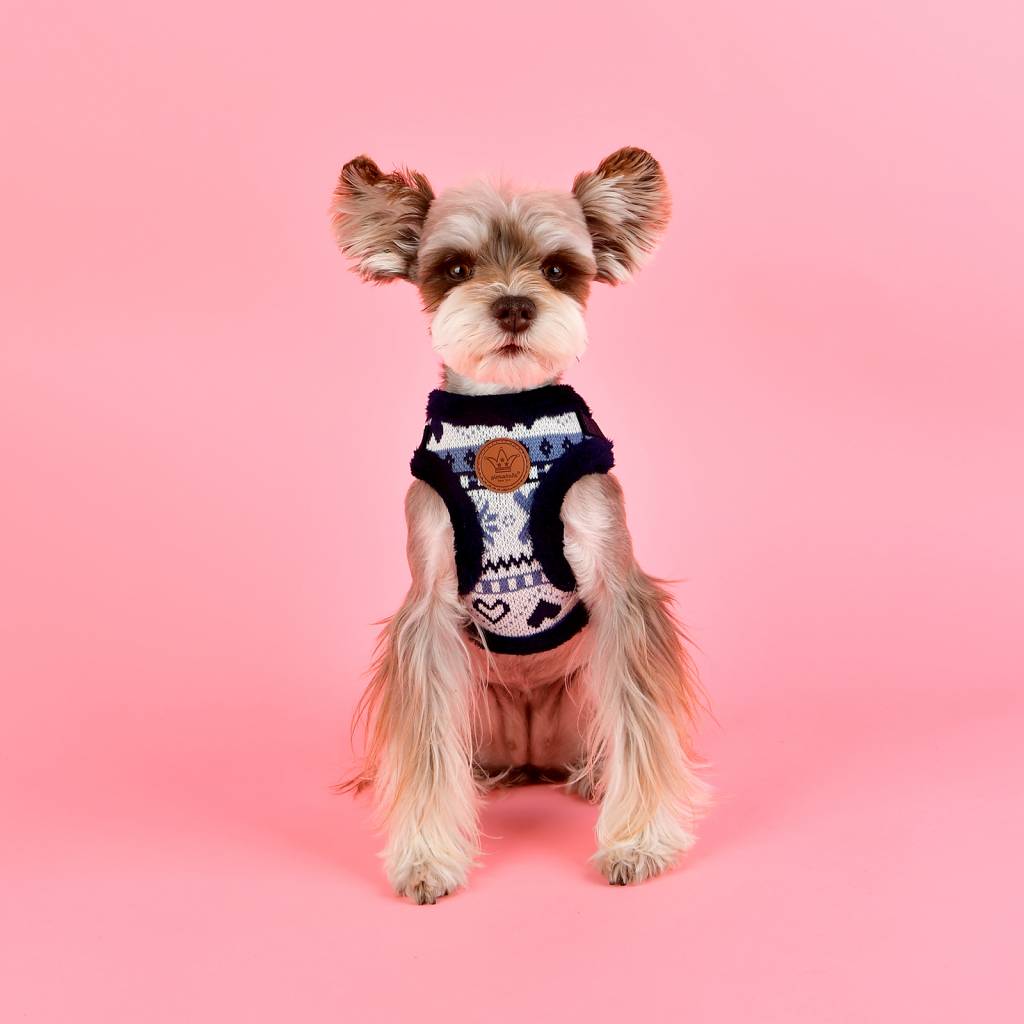 Pinkaholic Joy Harness navy model C - Premium hondentuig > honden harnas from Pinkaholic - Just €20! Shop now at Frenkiezdogshop
