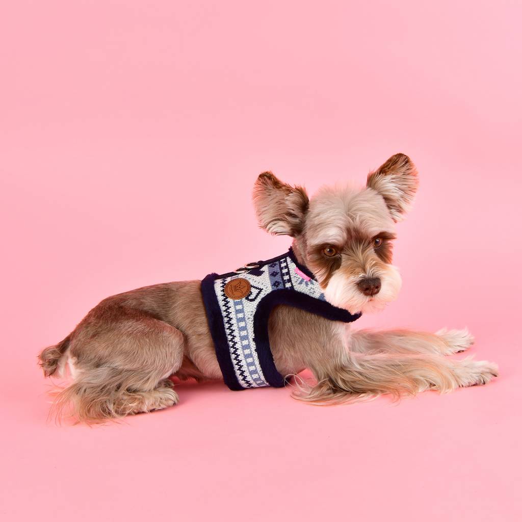 Pinkaholic Joy Harness Pinka navy hondentuig > honden harnas > model B Small