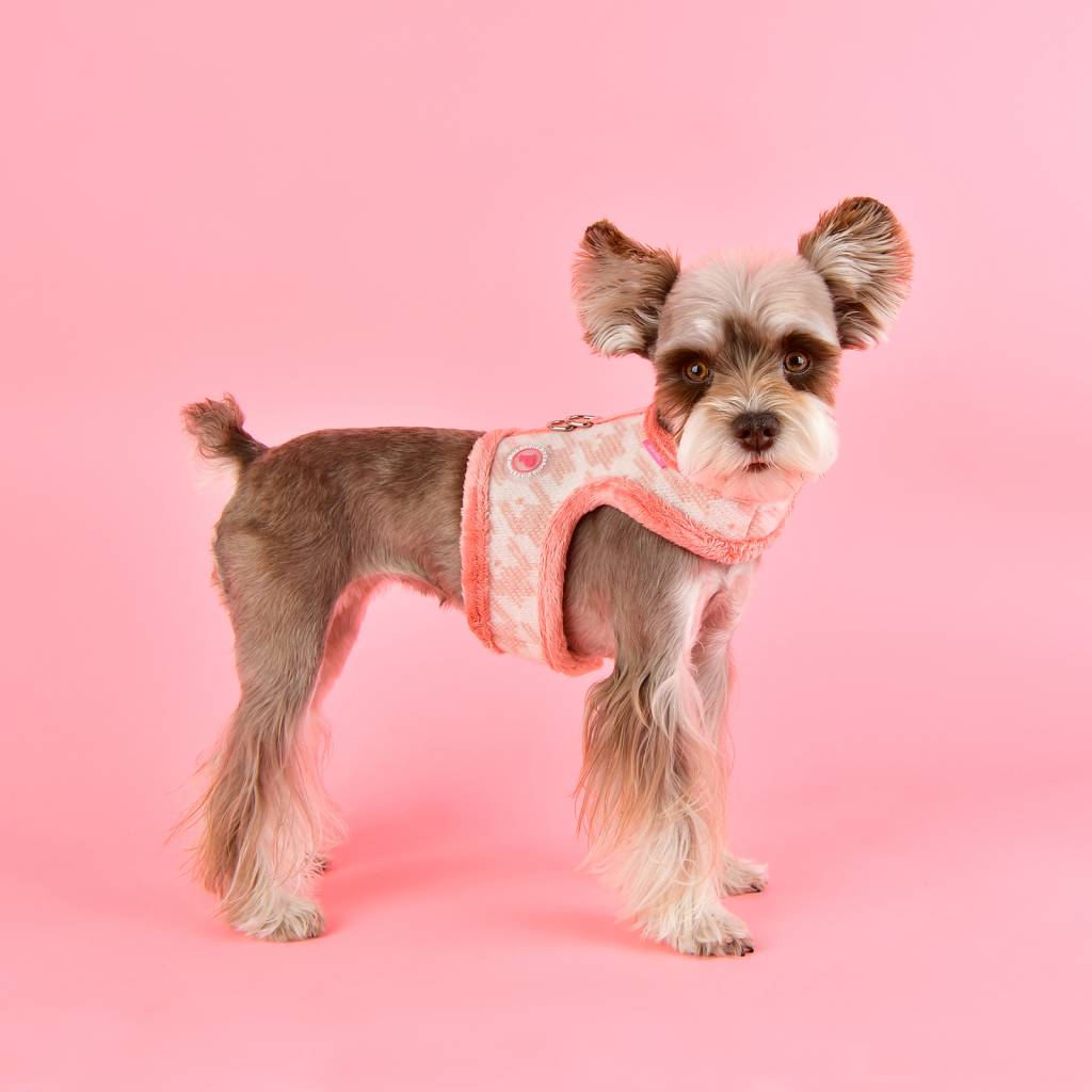 Pinkaholic Mirabelle Harness Pinka indian pink - Premium hondentuig > honden harnas from Pinkaholic - Just €20! Shop now at Frenkiezdogshop