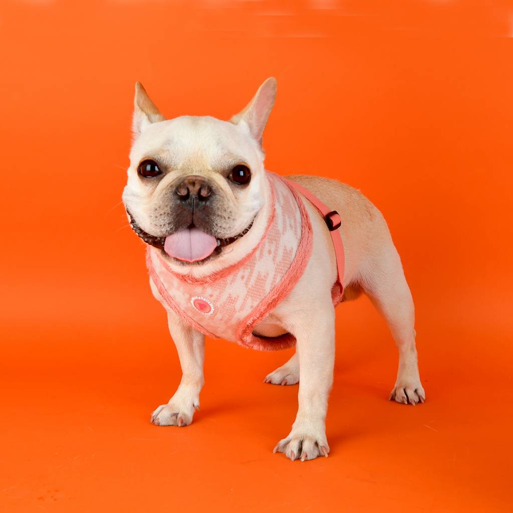 Pinkaholic Mirabelle Harness indian pink hondentuig > honden harnas > model A Small