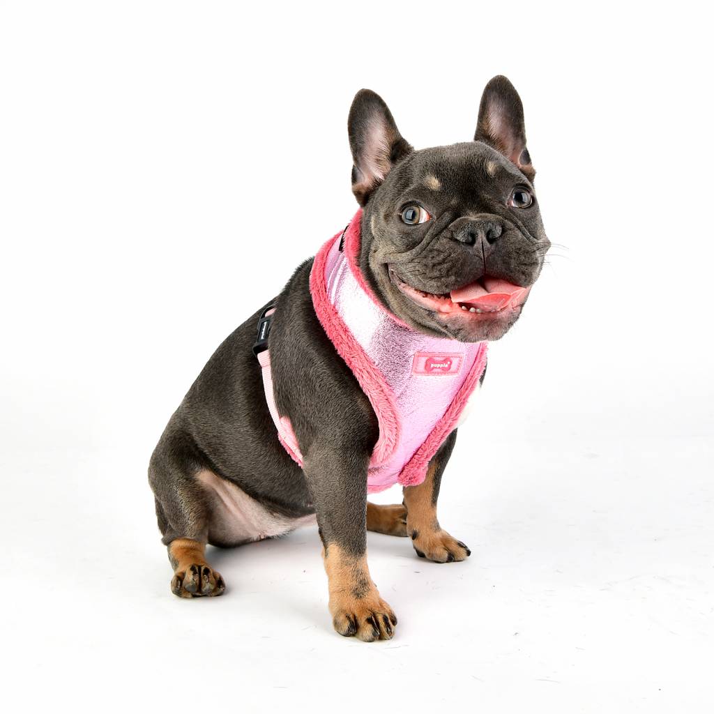 Puppia Evon Harness model A pink - Premium hondentuig > honden harnas from Puppia - Just €20! Shop now at Frenkiezdogshop