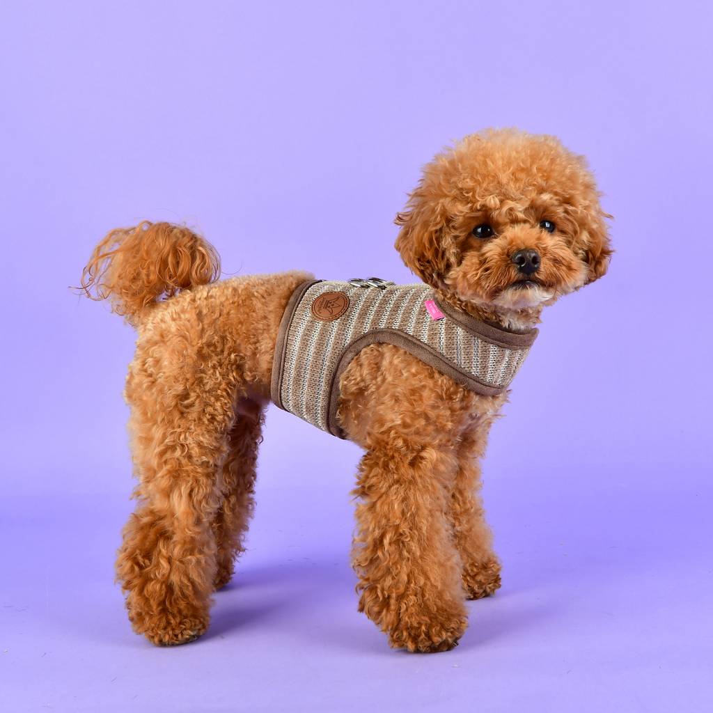 Pinkaholic Elicia Harness Pinka beige - Premium hondentuig > honden harnas from Pinkaholic - Just €20! Shop now at Frenkiezdogshop