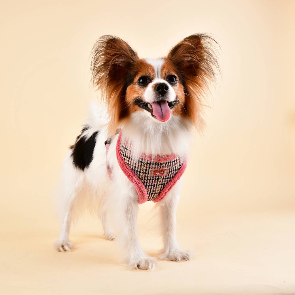 Puppia Auden Harness model A indian pink - Premium hondentuig > honden harnas from Puppia - Just €20! Shop now at Frenkiezdogshop