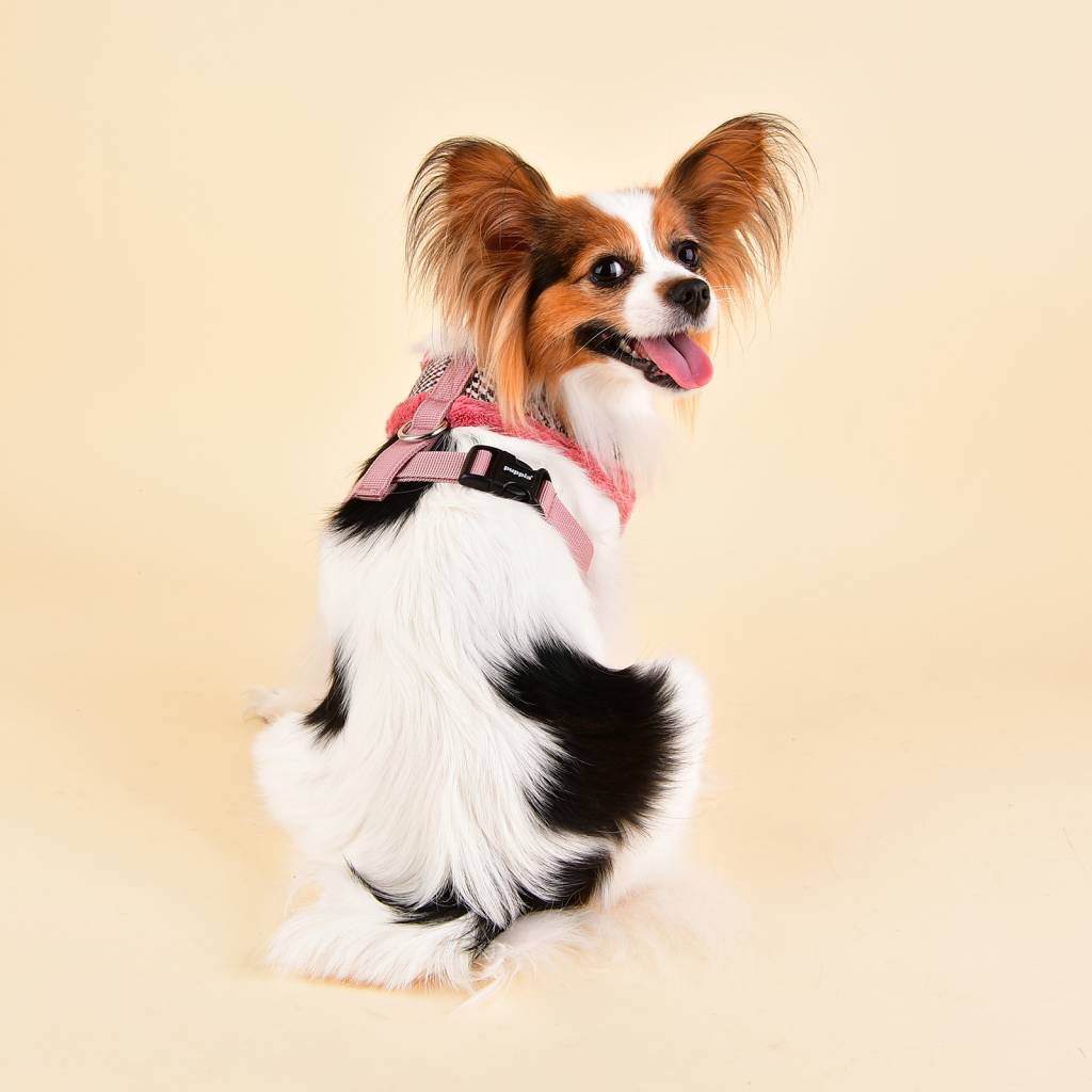 Puppia Auden Harness model A indian pink - Premium hondentuig > honden harnas from Puppia - Just €20! Shop now at Frenkiezdogshop