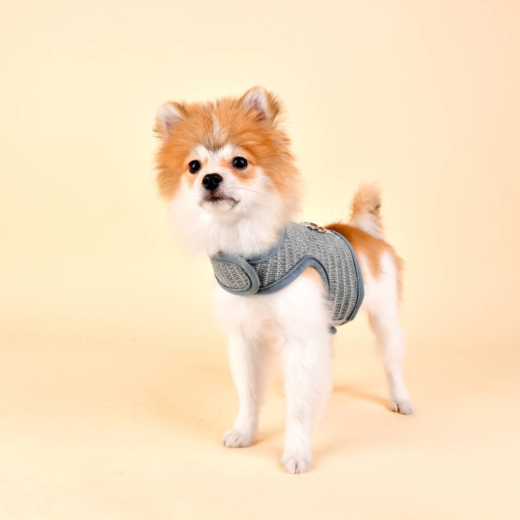 Pinkaholic Elicia Harness Pinka grey - Premium hondentuig > honden harnas from Pinkaholic - Just €20! Shop now at Frenkiezdogshop